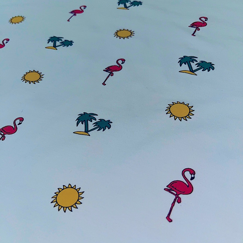 Free Planet graphic flamingo tee LG